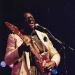 albertking